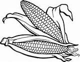 Cob Colorear Elote Abrir Coloringpagesfortoddlers sketch template