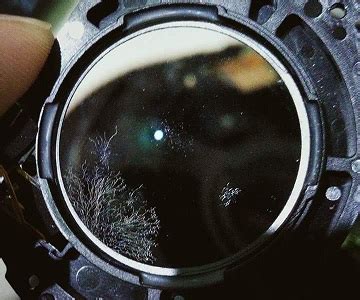 cleaning lens fungus   prevent   actively