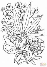 Coloring Weed Pages Trippy Marijuana Leaf Adult Drawing Printable Cannabis Adults Color Stoner Drawings Sheets Print Step Books Pot Hemp sketch template
