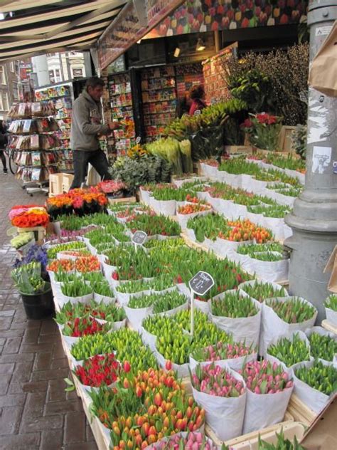 bloemenmarkt amsterdam netherlands netherlands travel flower market beautiful places