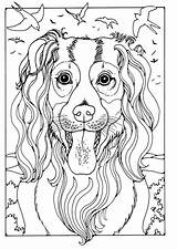 Collie Colorare Herdershond Malvorlage Edupics Ausmalbilder Dog Schulbilder Grote Große sketch template