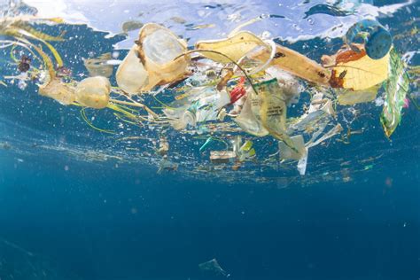 de plasticvervuiling  de middellandse zee een halt toeroepen wwf belgie