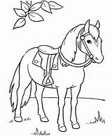 Horse Morgan Pages Coloring Printable Getcolorings sketch template