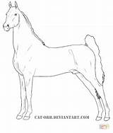 Coloring Horse Quarter American Saddlebred Pages Drawing Getdrawings Printable sketch template