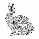 Zentangle Doodle Rabbit Konijn Pasen Coniglio Pasqua Uitstekende Getrokken Krabbel Vectorillustratie Gestileerd Stylized sketch template