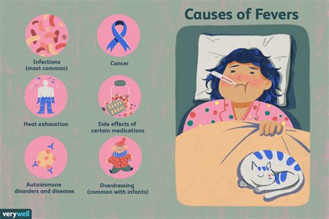 fevers symptoms  diagnosis  treatment