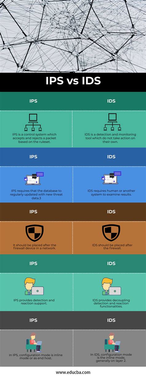 ips  ids top essential differences  ips  ids  network security
