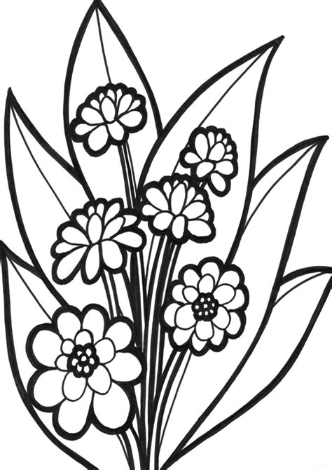 plant coloring pages printable printable word searches
