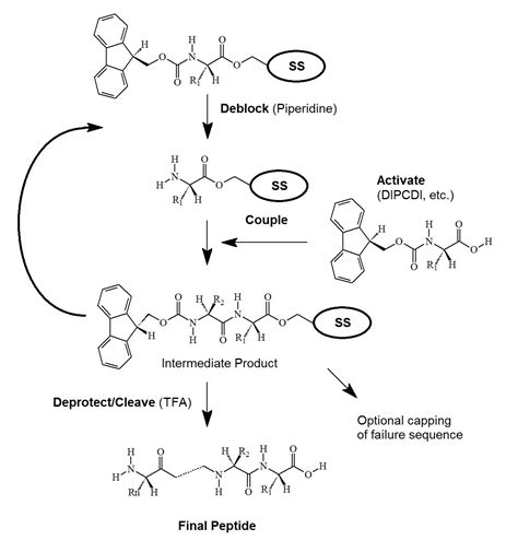 solid phase peptide synthesis