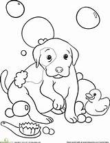 Bath Coloring Bubble Doggy Color Drawing Pages Education Choose Board Getdrawings Printable sketch template