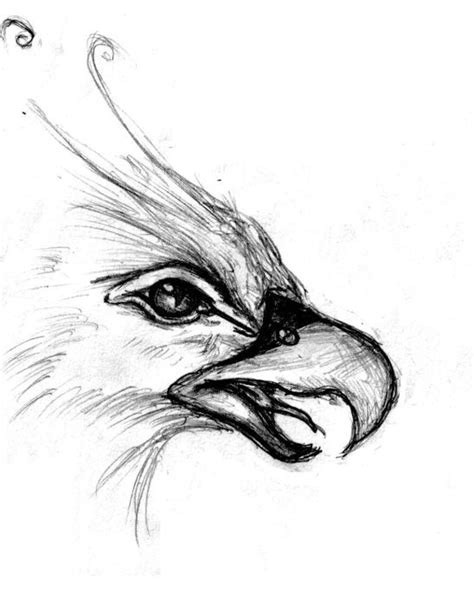 elfwood phoenix face pencil art drawings bird drawings cool art