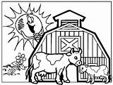 Cattle Coloring Pages sketch template