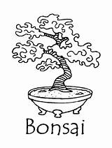 Coloring Plant Japan Creation Bonsai Printable Pages Onlinecoloringpages sketch template