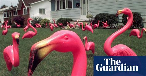 The Plastic Pink Flamingo In Pictures Culture The Guardian