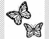 Monarch Butterflies sketch template
