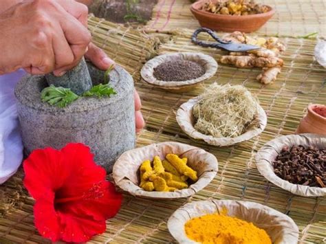 ayurvedic remedies  safe  report  herbal