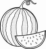 Watermelon Melancia Seedless Melon Mitraland Simplicity Popular Bestcoloringpagesforkids sketch template