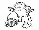 Dibujo Para Colorear Gato Juguetón Coloring Coloringcrew Playful Cat Dibujos sketch template