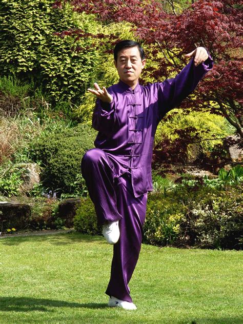 tai chi chinese culture  motion csst