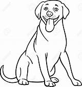 Labrador Coloring Dog Cartoon Pages Retriever Drawing Puppy Hunde Getcolorings Line Malebog Kæledyr Dogs Tegninger Printable Clipartmag Getdrawings Choose Board sketch template