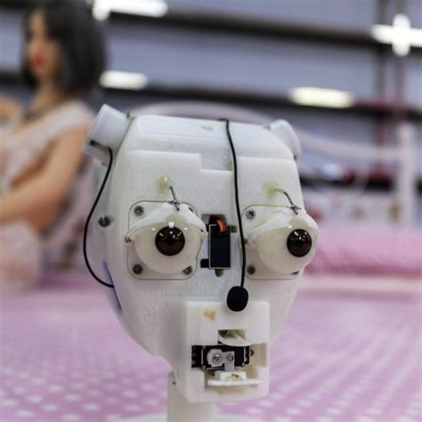 New Report Finds No Evidence That Having Sex With Robots Is Healthy