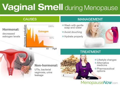 Vaginal Smell During Menopause Menopause Now