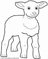 Agneau Coloriage Lamb Imprimer Coloring Dessin Pages Dessiner Lightupyourbrain sketch template