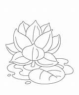 Lotus Coloring Flowers Flower Pages Color Kids Sheet Turtle Printable Dots Join Print Crafts sketch template