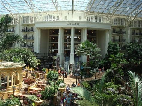 katies design blog gaylord opryland resort  spa