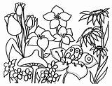Garden Coloring Flower Pages Print sketch template