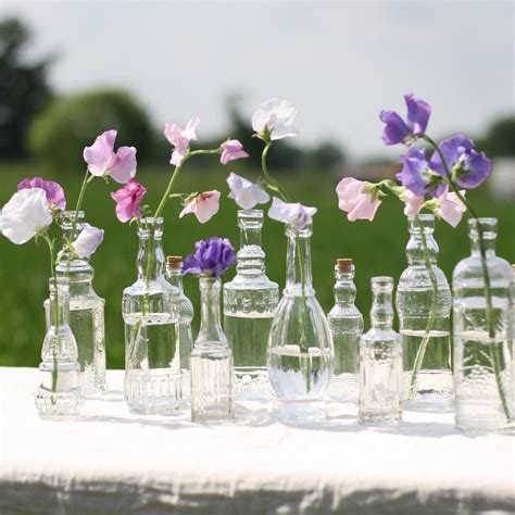 Set Of 6 Glass Bottle Vases With Cork Stoppers The Wedding Of My Dreams
