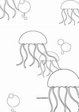 Jellyfish Directed sketch template