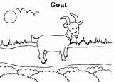 Goat Coloring Pages Kids Kindergarten Cute Printable Print Pdf Open  Drawing sketch template