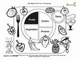 Coloring Plate Food Nutrition Pages Color Printable Worksheets Kids Fruits Healthy Myplate Colouring Sheets Group Games Education Fruit Activities Planet sketch template