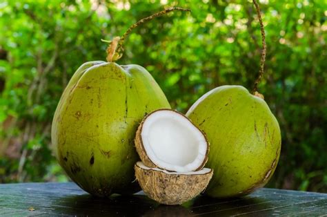 kokosnusswasser als trendgetraenk naeher betrachtet wirkung naehrwerte