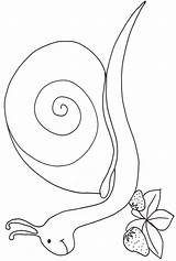 Coloriage Escargot Hugo Mandala Noel Imprimer sketch template