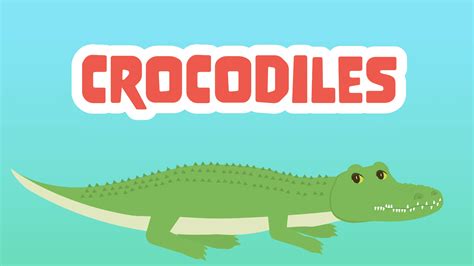 crocodiles facts  kids  awesome facts  crocodiles learningmole