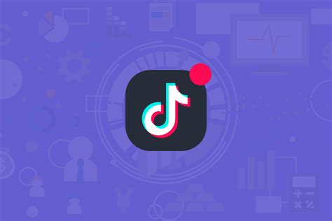 tiktok introduces  tool  give helpful audience insights