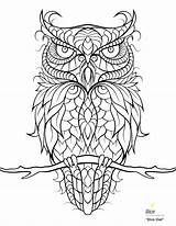 Coloring Snowy Pages Owl Baby Color Getcolorings sketch template
