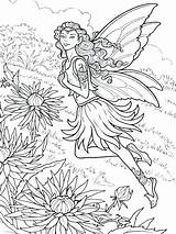 Chrysanthemum Pages Coloring Fairy Beautiful Getcolorings Colouring sketch template