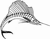 Sailfish Swordfish Marlin Mewarnai Cliparts Clipartpanda Designlooter Dekoratif Sketsa Clipartmag sketch template