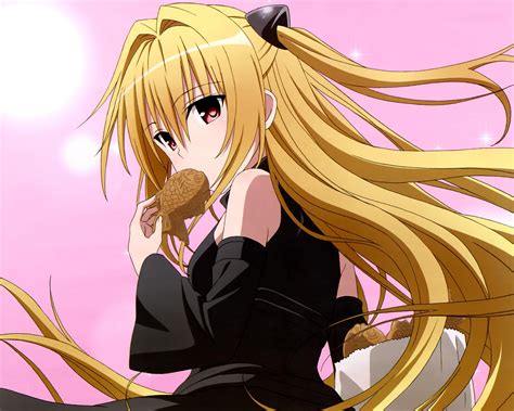to love ru wallpapers hd wallpaper cave
