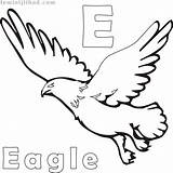 Eagle Coloringfolder Eagles sketch template