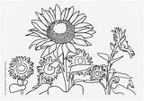 Nature Coloring Pages Kids Flowers sketch template