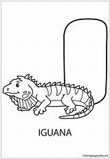 Pages Iguana Letter Coloring Upper Case Alphabet Color sketch template