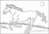 Mustang Horse Coloring Pages Horses Printable Running Rearing Getcolorings Print Getdrawings Colorings sketch template