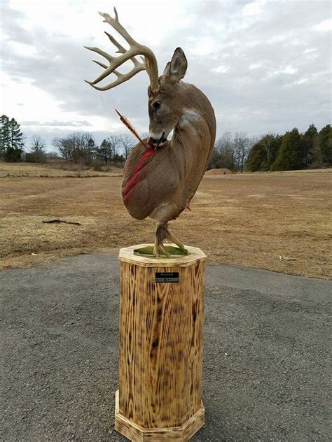 792 Best Deer Mount Ideas Images On Pinterest Taxidermy Deer And Red