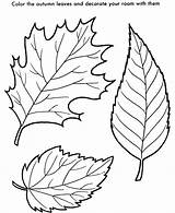 Coloring Leaf Pages Kids Printable sketch template