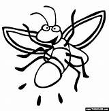 Firefly Coloring Clipart Lightning Bug Fireflies Pages Clip Insect Bugs Color Printable Insects Fly Fire Online Animals Sheet Kids Drawing sketch template
