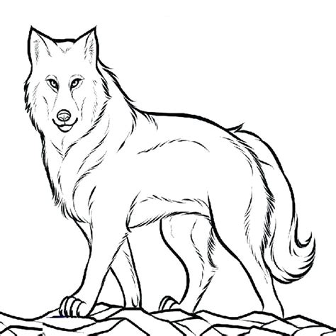 cute wolf pup drawing  getdrawings